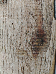 Similar image 22786529