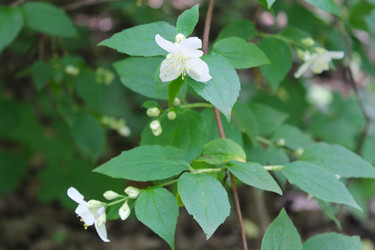 Similar image 22786621