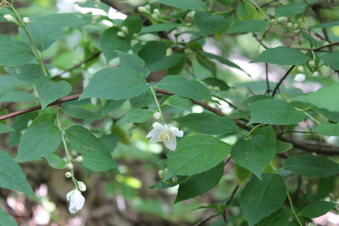 Similar image 22786623