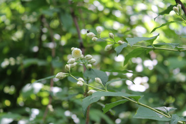 Similar image 22786625