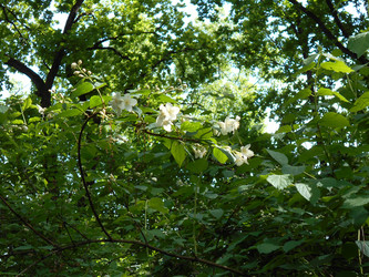 Similar image 22786626