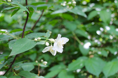 Similar image 22786627