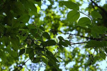 Similar image 22786629