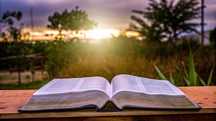 Светящаяся открытая книга на деревенском деревянном столе на закате в спокойной обстановке. Генеративный искусственный интеллект - RomanZ