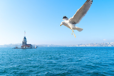 Skyline of Istanbul and Bosporus waterway with Maiden's Tower (Kiz Kulesi) �sk�dar Istanbul, Turkey - Neirfy