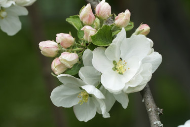 Similar image 22786925