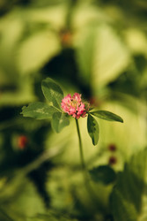 Similar image 22786980