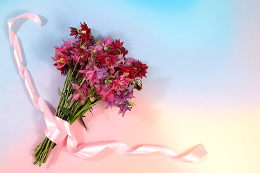 Similar image 22787013