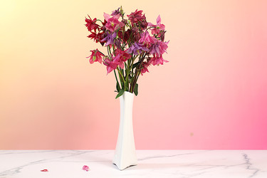 Similar image 22787020