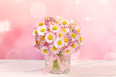 Similar image 22787025