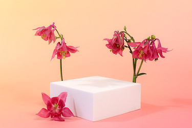 Similar image 22787032