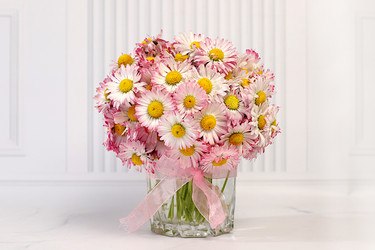 Similar image 22787040