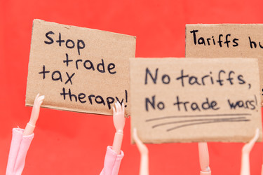 Серия протестов против торговых пошлин на импорт из Китая и Европейского союза в США, введенных Дональдом Трампом - Matroskin
