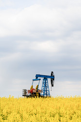 Нефтяные качалки добывают нефть в поле. Нефтяная промышленность - DM131