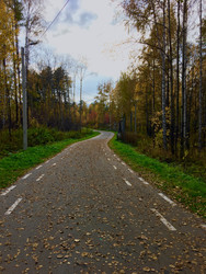 Золотая осень - Cherevkoka