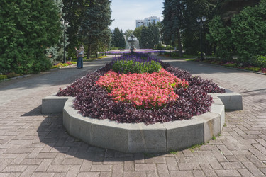 Сад в парке - tven