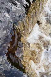 Янтарная вода реки - Bukaa9