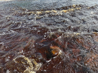 Янтарно-красная вода реки Тосны - Bukaa9