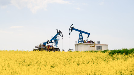 Нефтяные качалки добывают нефть в поле. Нефтяная промышленность - DM131