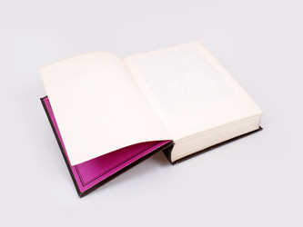 Открытая книга в коричневий обложке, изолировано на белом фоне - Prokrida