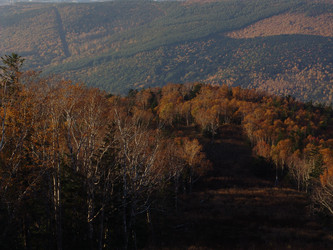 Вид с горнолыжного комплекса «Горный воздух».  Сахалин. View of the ski complex "Gorny Vozduh". Sakhalin. (marka) - marka