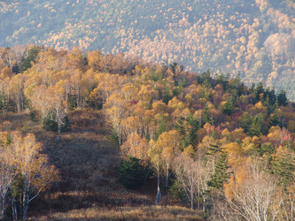 Вид с горнолыжного комплекса «Горный воздух».  Сахалин. View of the ski complex "Gorny Vozduh". Sakhalin. (marka) - marka