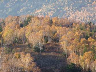Вид с горнолыжного комплекса «Горный воздух».  Сахалин. View of the ski complex "Gorny Vozduh". Sakhalin. (marka) - marka