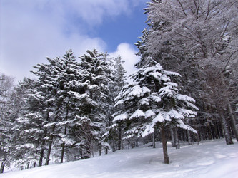 Горнолыжный комплекс «Горный воздух». Сахалин. View of the ski complex "Gorny Vozduh". Sakhalin - marka