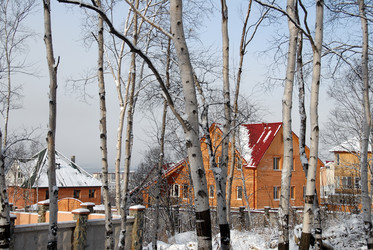 Дома в в зимнем лесу. Сахалин. Winter forest. Road. Sakhalin. (marka) - marka