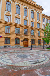 Красивая мозаика на мостовой перед зданием (бывшей) Третьей Санкт-Петербургской гимназии. Соляной переулок, 12, Санкт-Петербург - Wombat
