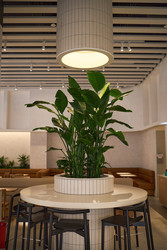 Similar image 22777718