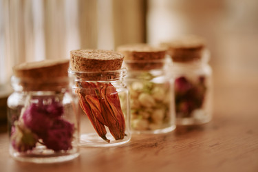 Демонстрация сушеных растительных ингредиентов для брендинга natural wellness - AnnaStills