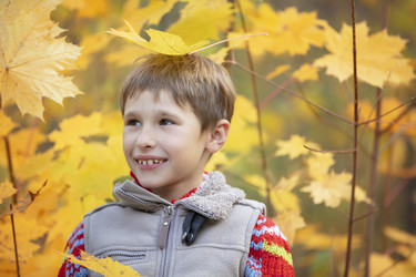 Ребенок среди осенних кленовых листьев. Мальчик на прогулке. Осень - aspsvz