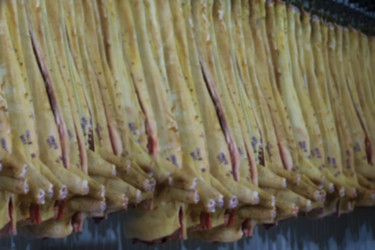 Размытое изображение мясокомбината. Множество свиных туш на мясоперерабатывающем заводе - aspsvz