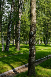 Пискаревское мемориальное кладбище. Санкт-Петербург, проспект Непокоренных, 72. ОКНФЗ 781610573180026 - donsun
