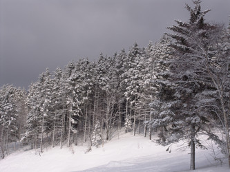 Горнолыжный комплекс «Горный воздух». Сахалин. View of the ski complex "Gorny Vozduh". Sakhalin. (marka) - marka