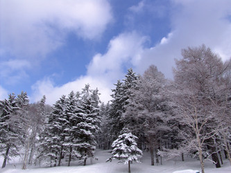 Горнолыжный комплекс «Горный воздух». Сахалин. View of the ski complex "Gorny Vozduh". Sakhalin. (marka) - marka
