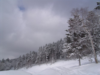 Горнолыжный комплекс «Горный воздух». Сахалин. View of the ski complex "Gorny Vozduh". Sakhalin. (marka) - marka
