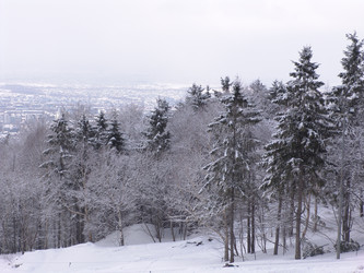 Горнолыжный комплекс «Горный воздух». Сахалин. View of the ski complex "Gorny Vozduh". Sakhalin. (marka) - marka