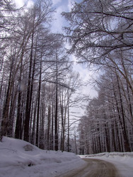 Дорога на горнолыжный комплекс «Горный воздух». Сахалин. View of the ski complex "Gorny Vozduh". Sakhalin. (marka) - marka