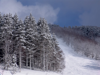 Горнолыжный комплекс «Горный воздух». Сахалин. View of the ski complex "Gorny Vozduh". Sakhalin. (marka) - marka