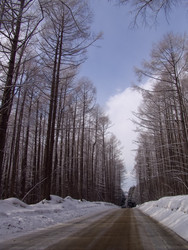 Дорога на горнолыжный комплекс «Горный воздух». Сахалин. View of the ski complex "Gorny Vozduh". Sakhalin. (marka) - marka