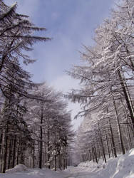 Дорога на горнолыжный комплекс «Горный воздух». Сахалин. View of the ski complex "Gorny Vozduh". Sakhalin. (marka) - marka