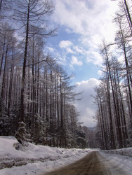 Дорога на горнолыжный комплекс «Горный воздух». Сахалин. View of the ski complex "Gorny Vozduh". Sakhalin. (marka) - marka