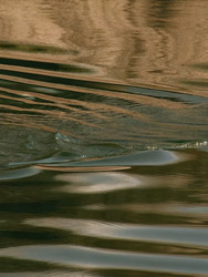 Рябь на спокойной поверхности воды, отражающая природный пейзаж. Генеративный искусственный интеллект - RomanZ