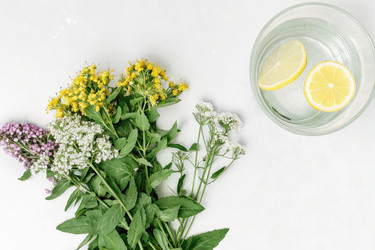 St John’s Wort and Valerian Bouquet With Refreshing Lemon Water. Generative AI - RomanZ
