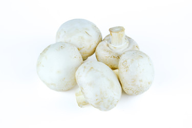 Группа чистых целых шампиньонов (белых шампиньонов) из семейства Agaricus, сложенных вместе на изолированном белом фоне - DmitryKurullin