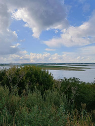 Просторный летний пейзаж: река или озеро, зеленые острова, кустарники и красивое облачное небо - Tnevelskaya
