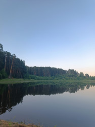 Зеркальное отражение соснового леса в гладкой воде озера или реки на закате - Tnevelskaya