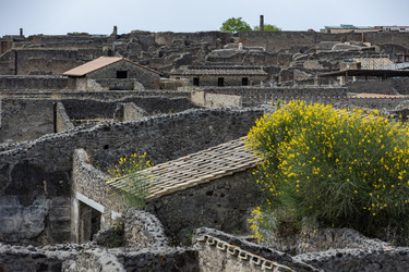 Италия. Помпеи. Руины домов в археологическом парке.
Italy. Pompeii. Ruins of Homes in the Archaeological Park - ffoto-graff